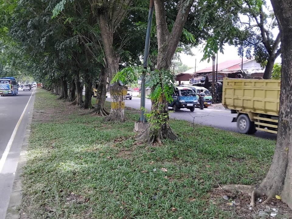 WhatsApp Image 2026-01-17 at 6.08.49 PM (2)