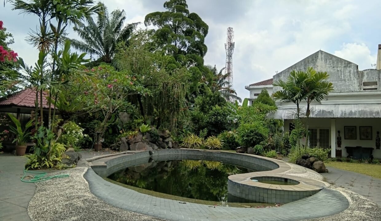 WhatsApp Image 2026-02-24 at 3.37.23 PM (1)