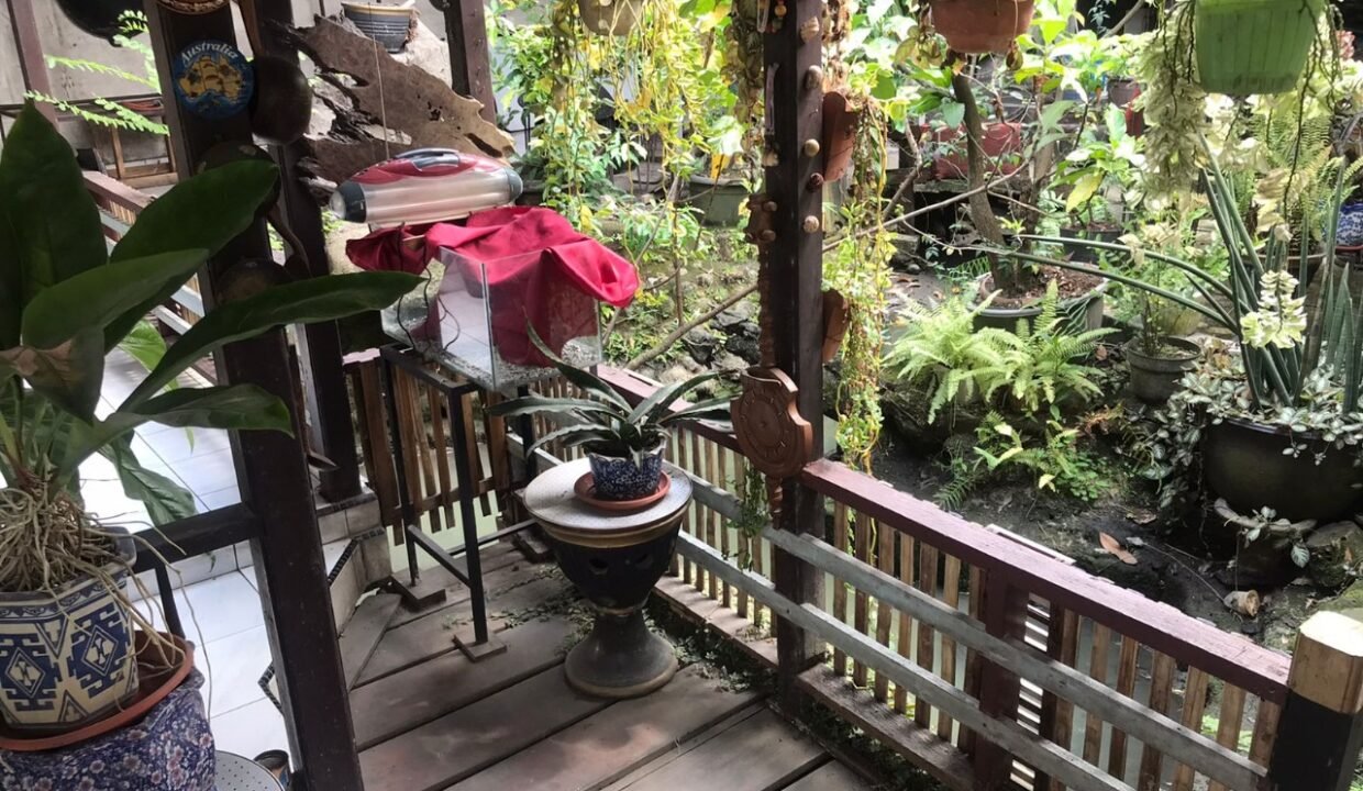 WhatsApp Image 2026-03-05 at 10.46.29 AM