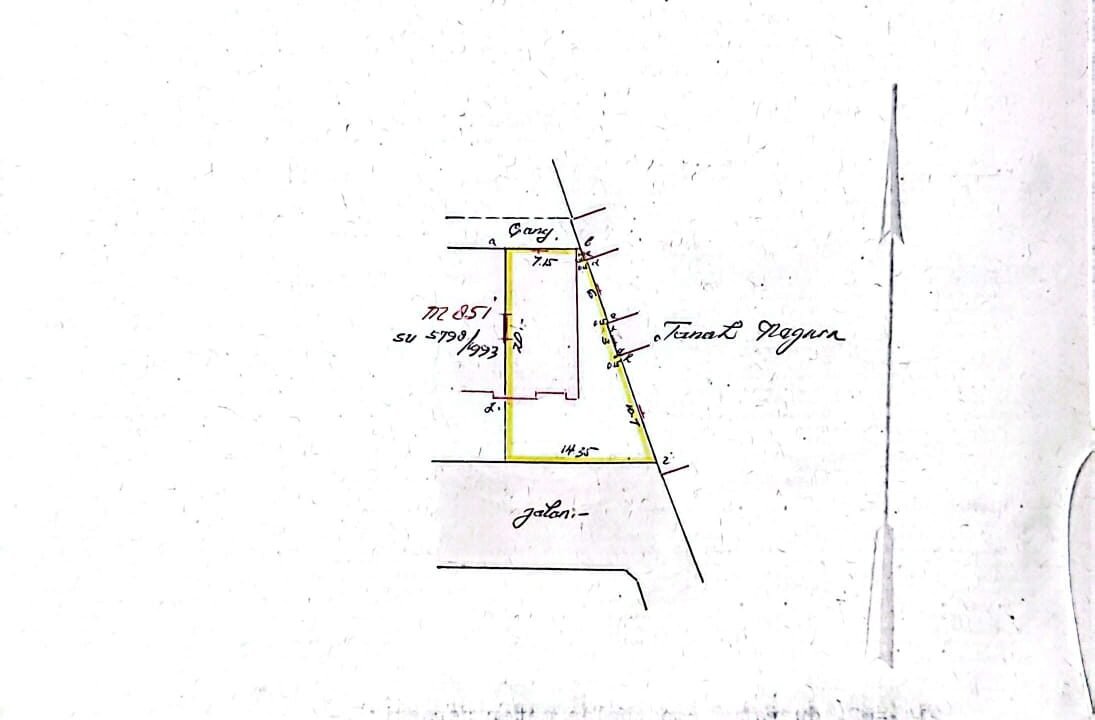 WhatsApp Image 2026-03-18 at 7.05.01 PM (2)