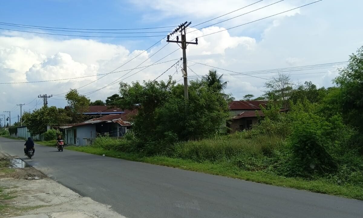 WhatsApp Image 2026-04-11 at 1.05.16 PM (1)