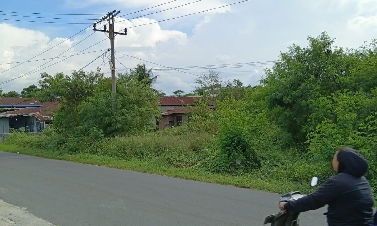 WhatsApp Image 2026-04-11 at 1.05.16 PM