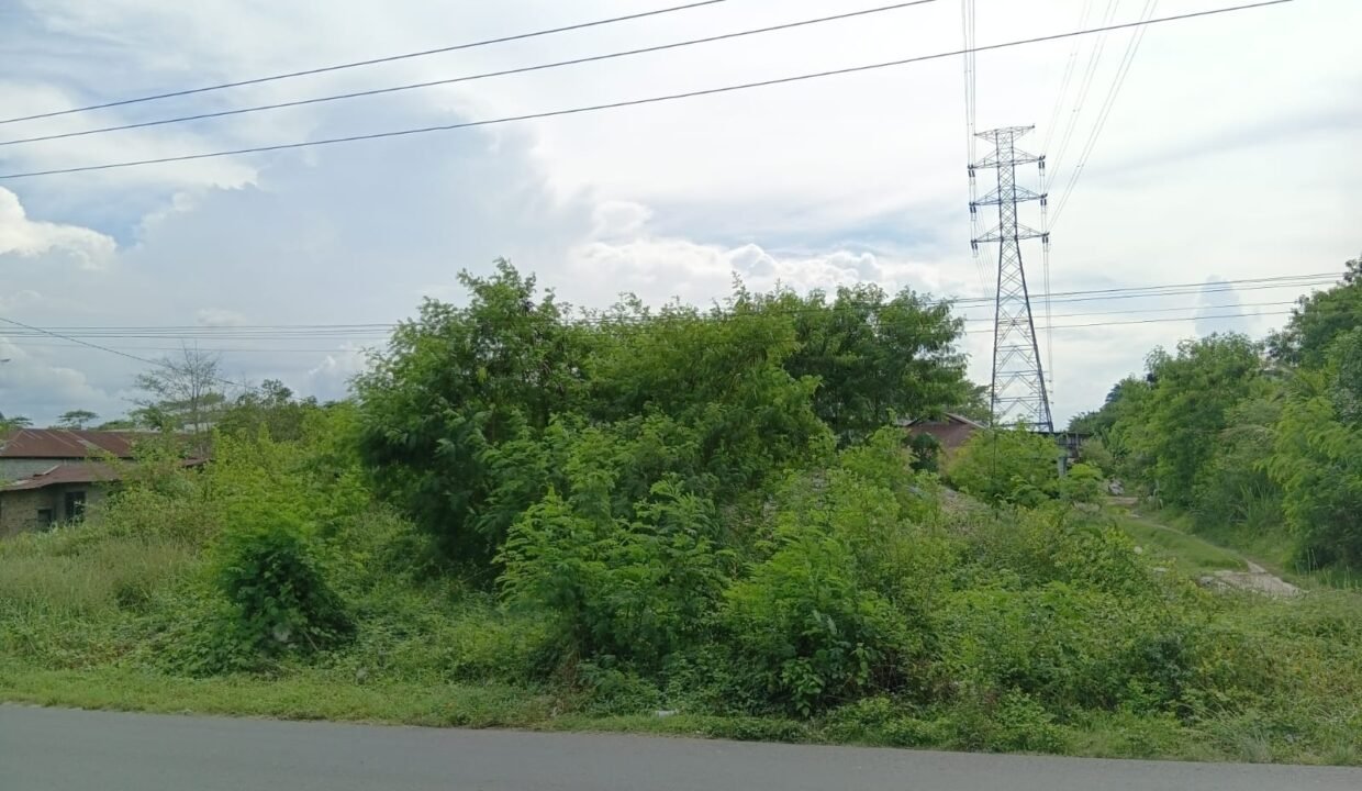 WhatsApp Image 2026-04-11 at 1.05.16 PM (2)