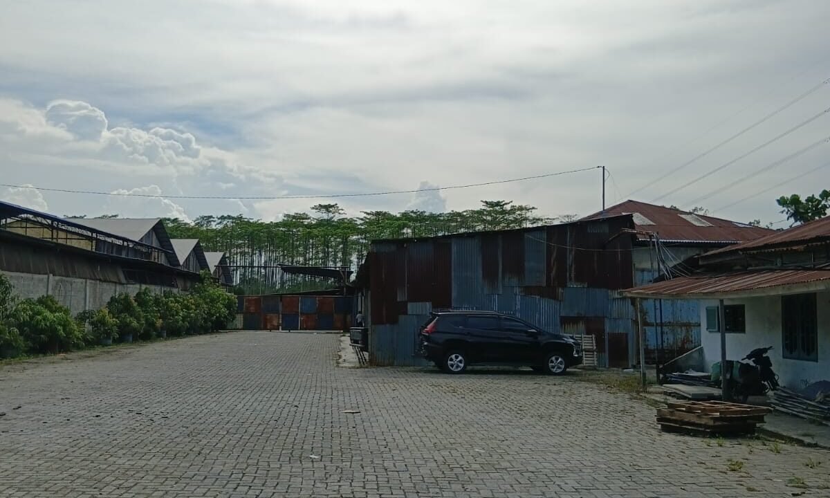 WhatsApp Image 2026-04-11 at 1.05.17 PM (1)