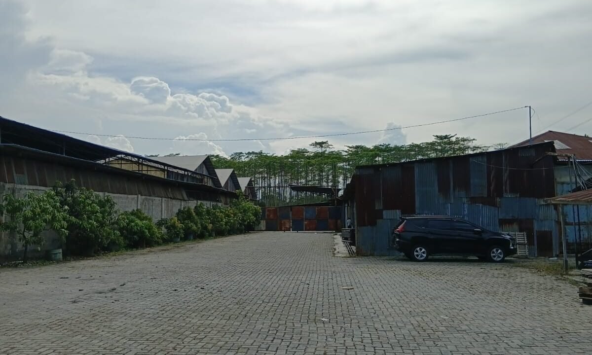 WhatsApp Image 2026-04-11 at 1.05.17 PM