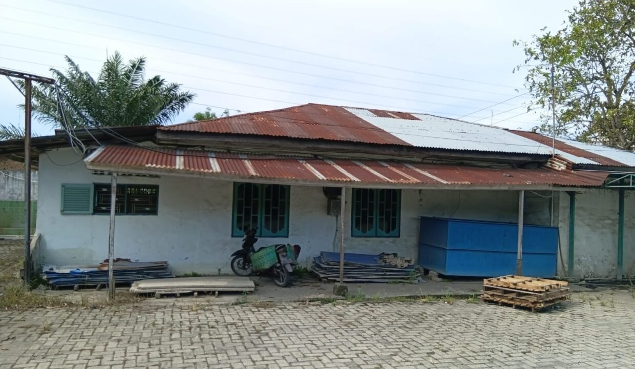 WhatsApp Image 2026-04-11 at 1.05.20 PM (1)