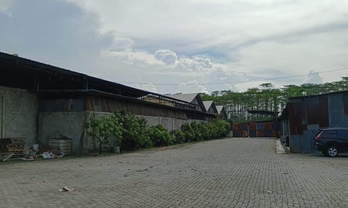 WhatsApp Image 2026-04-11 at 1.05.20 PM (2)